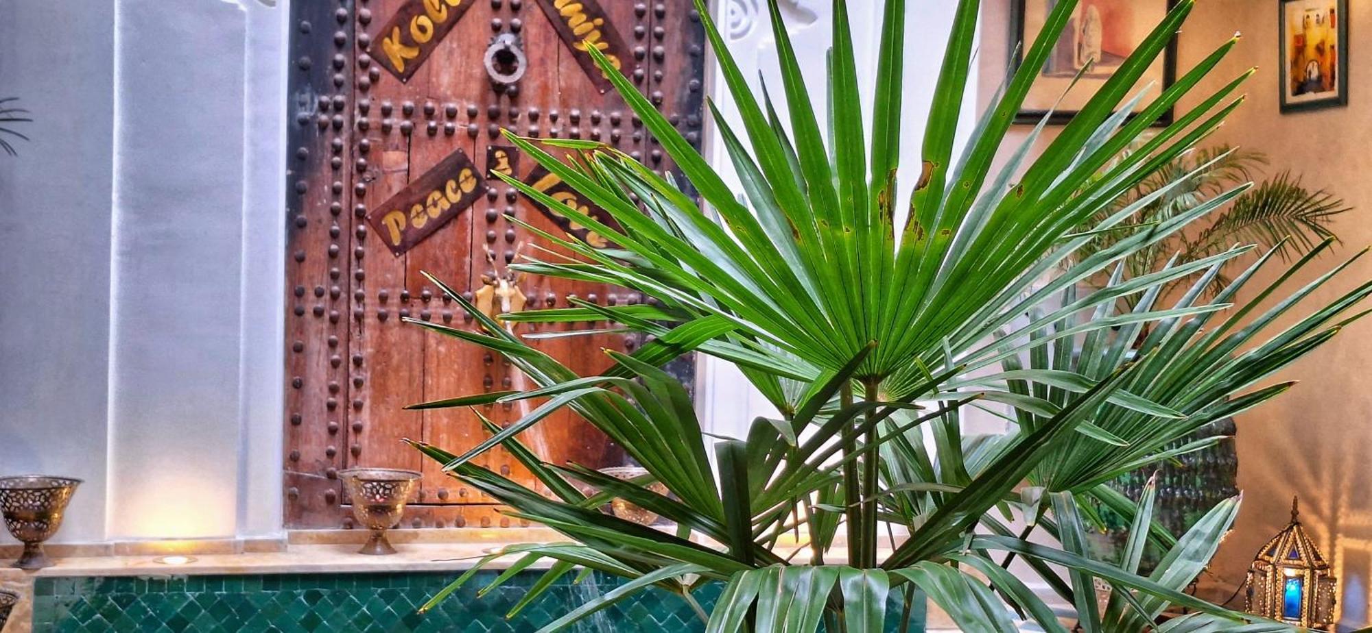 Belikoss Pool & فندق مبيت وإفطار *